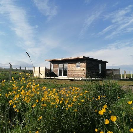 Blackwood Cottage Near Geysir Reykholt  Exterior photo