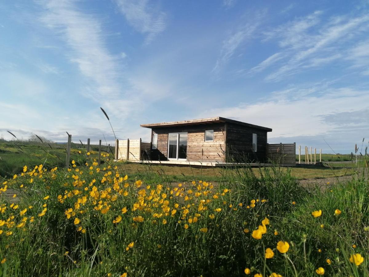 Blackwood Cottage Near Geysir Reykholt  Exterior photo